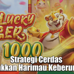 strategi-cerdas-menjinakkan-harimau-keberuntungan